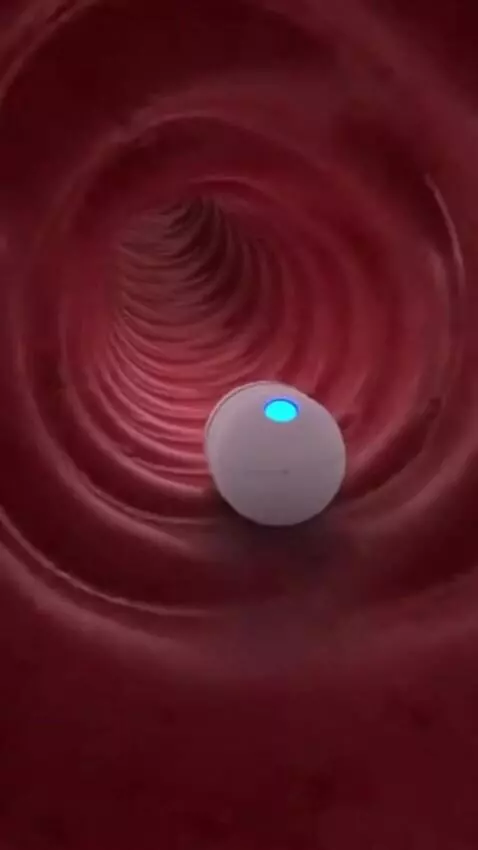 AI Video from prompt: SCENE 2 — ESOPHAGUS DESCENT  Capsule moves throu