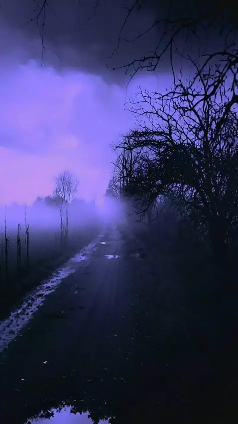 Kling 2.5 Turbo (pro) video