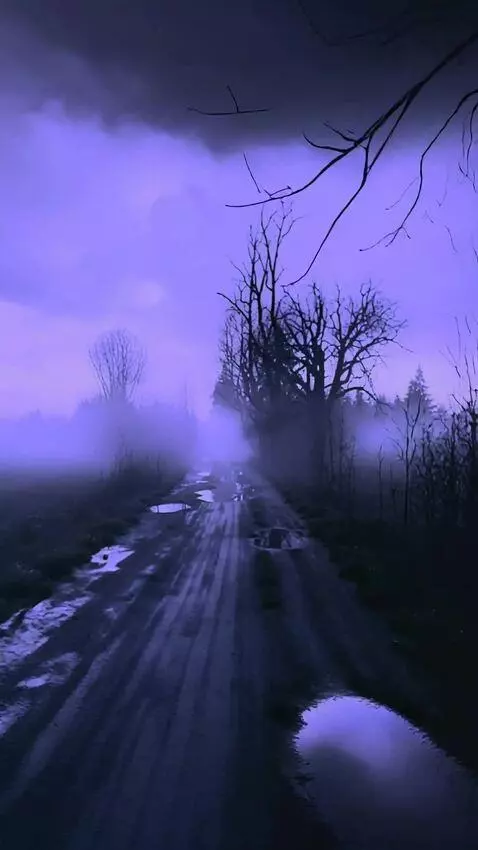 AI Video from prompt: The camera moves forward in a first person view,