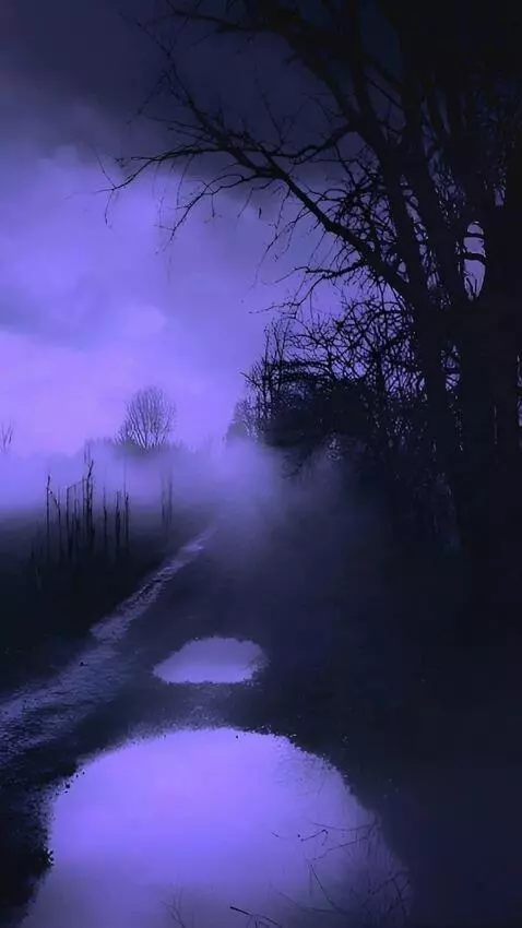 AI Video from prompt: The camera moves forward in a first person view,