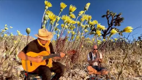 Kling 2.5 Turbo (pro) video