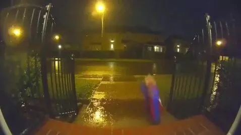 AI Video from prompt: A funny, slightly surreal nighttime doorbell cam