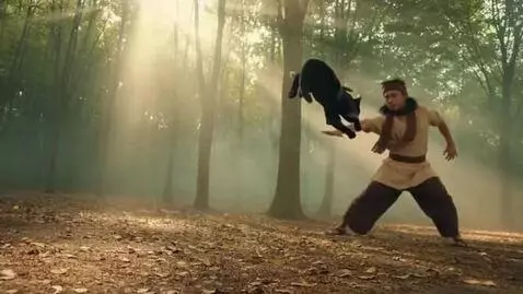 AI Video from prompt: Create a 15-second video of a black ninja cat co