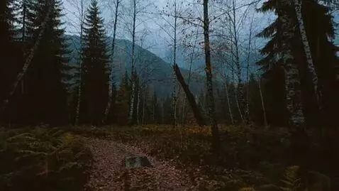 AI Video from prompt: In the style of the 80s, old footage. A mystical