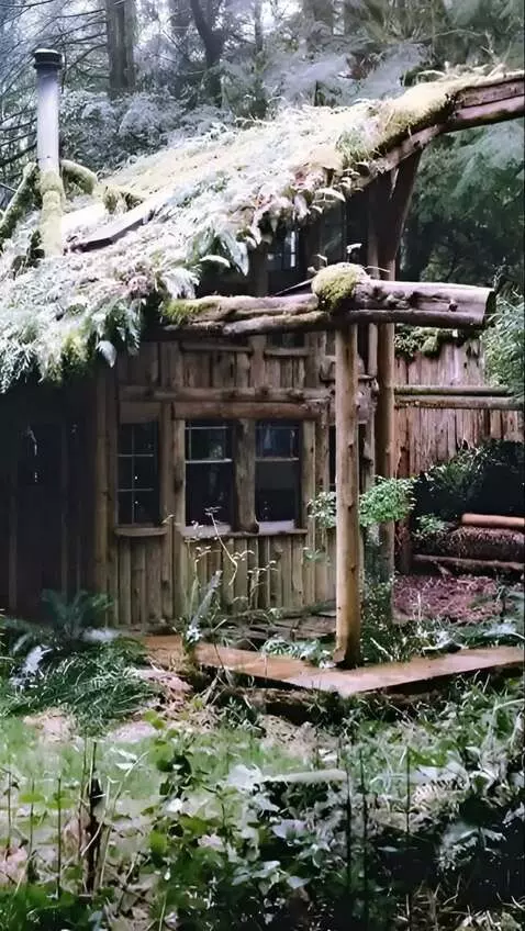 AI Video from prompt: Camera mimics a walk moves forward a rocking mot