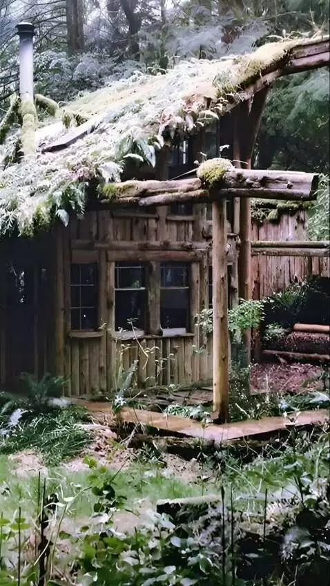 AI Video from prompt: Camera mimics a walk and flies through a window.