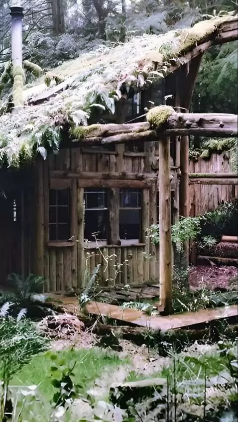 AI Video from prompt: Camera mimics a walk and flies through a window.