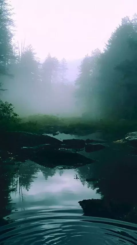 AI Video from prompt: Camera mimics a walk move forward