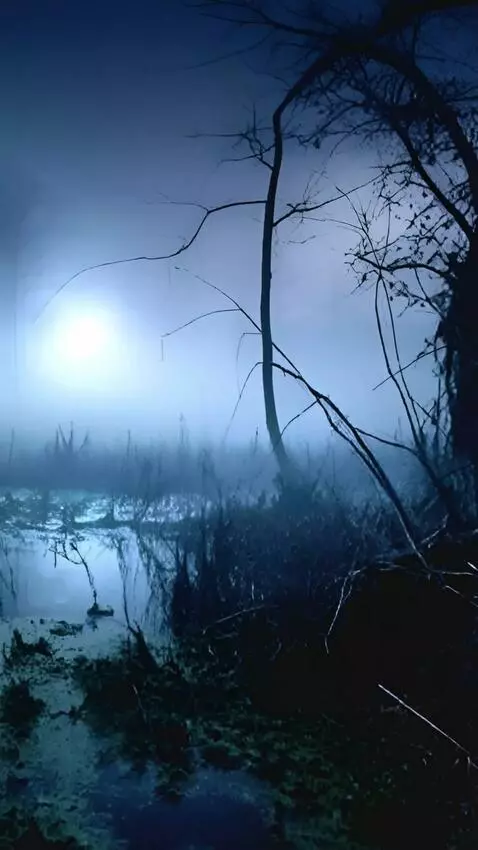 AI Video from prompt: The camera moves forward in a wobbly motion