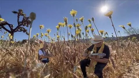 AI Video from prompt: the guitarist and flute player play the music un