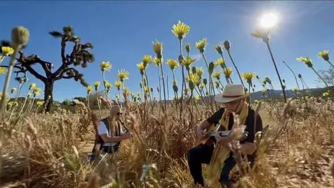 Seedance 1.5 Pro video