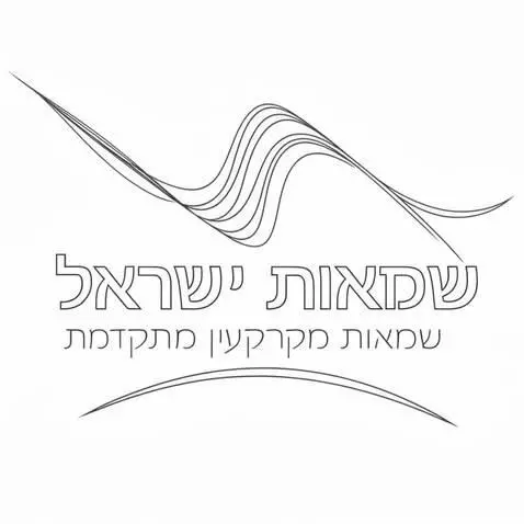 AI Video from prompt: Create a minimal, elegant logo animation from th