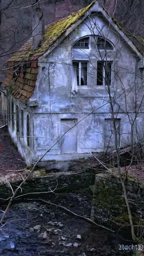 AI Video from prompt: The camera moves forward and flies through the w