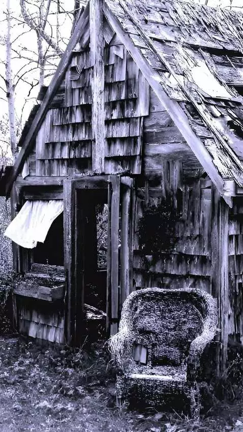 AI Video from prompt: camera  moves forward and flies through the wind