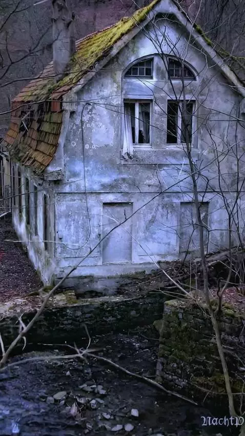 AI Video from prompt: camera  moves forward and flies through the wind