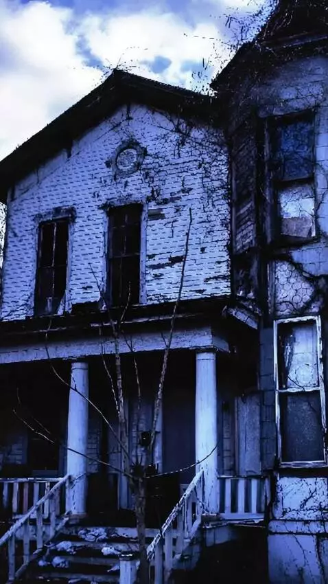 AI Video from prompt: camera  moves forward and flies through the wind