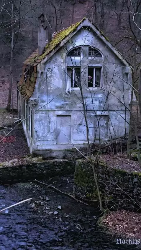 AI Video from prompt: camera flies around the house as the orc looks o