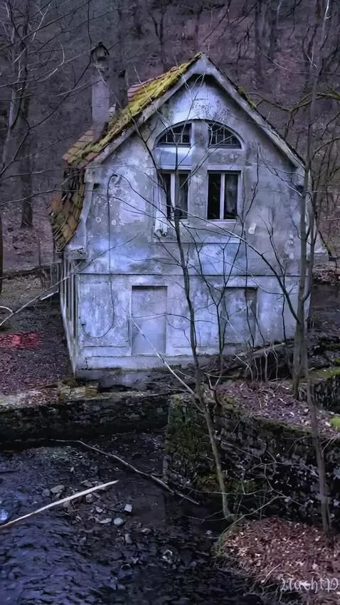 AI Video from prompt: camera flies around the house