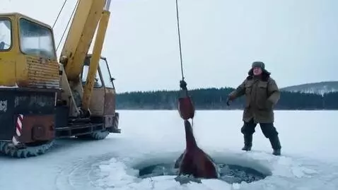 AI Video from prompt: Viral video, Russia, winter, somewhere far from 