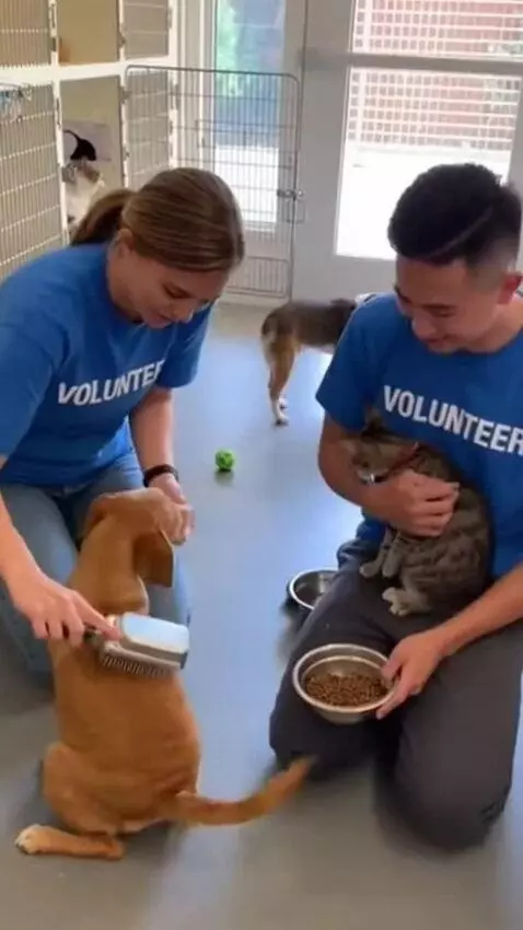 AI Video from prompt: 30  second video. "A realistic, heartwarming sce