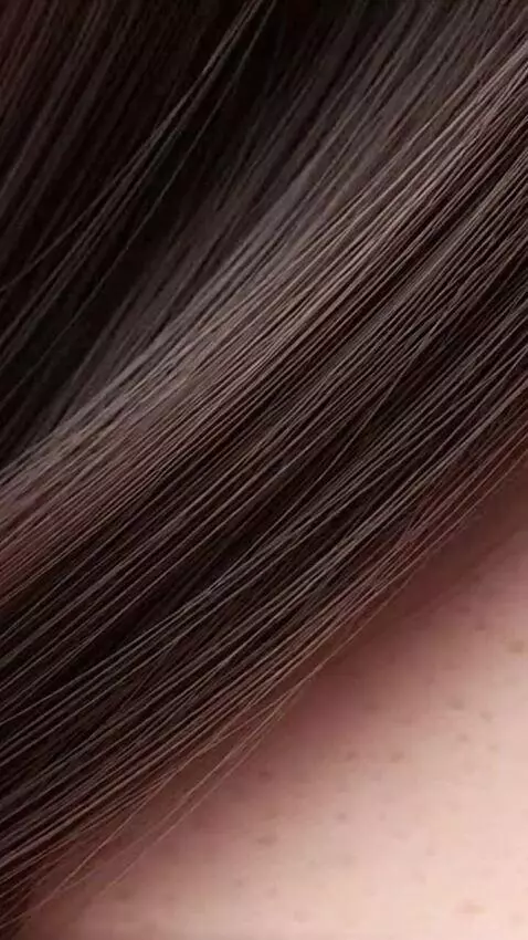 AI Video from prompt: Videos with changing images of the liver, kidney