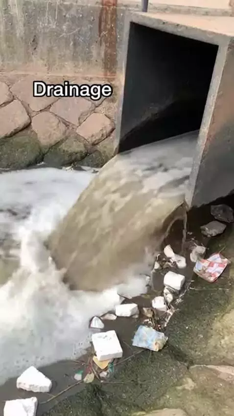 AI Video from prompt: create a entreating and informative video of how