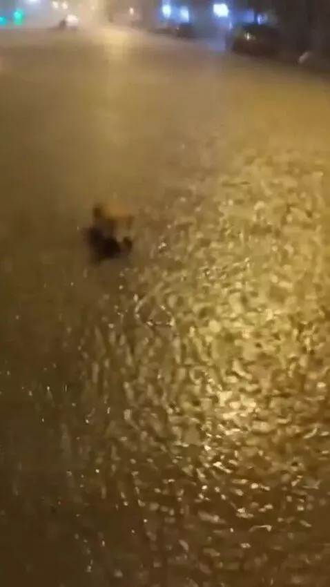 AI Video from prompt: ⏱️ 0:00 – 0:02 (HOOK) First-person POV, head-mou