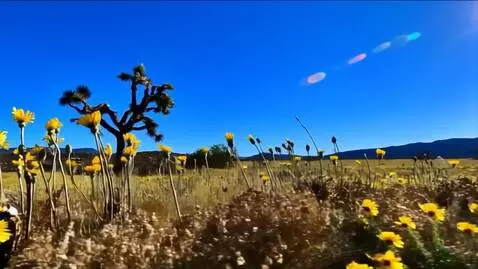 AI Video from prompt: the camera keeps moving to the right showing mor