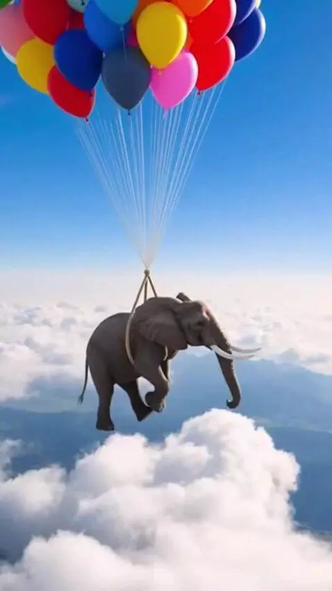 AI Video from prompt: An elephant flying
