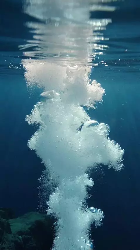 AI Video from prompt: Visual: The camera is completely underwater, wit