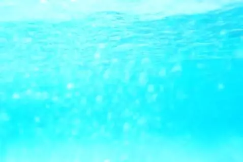 AI Video from prompt: Visual: The camera is completely underwater, wit