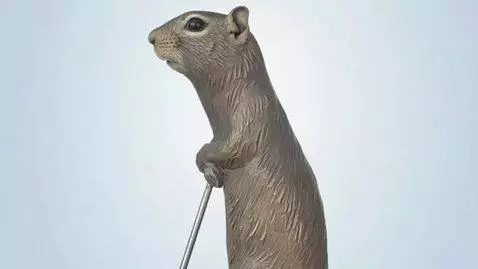 AI Video from prompt: Animate this ground squirrel from the photo. The