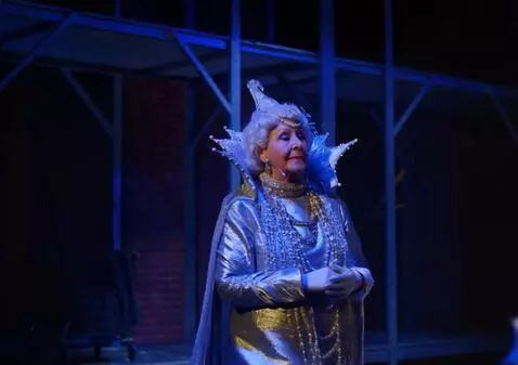 AI Video from prompt: An elderly eighty-year-old snow queen has a diam