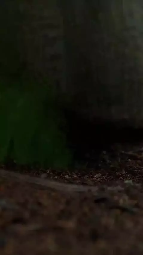 AI Video from prompt: Prompt: A hyper-realistic humanoid skeleton with