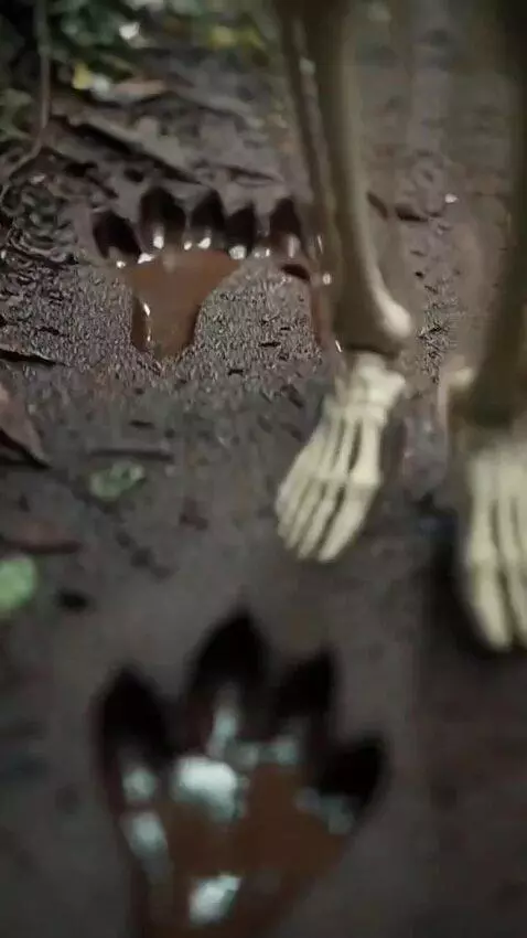 AI Video from prompt: Prompt: A hyper-realistic humanoid skeleton with