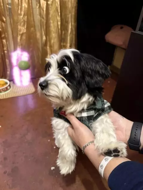 AI Video from prompt: Create a 5-second vertical video (9:16) in ultra