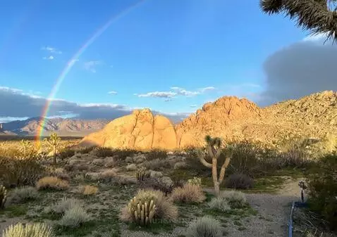 AI Video from prompt: the camera sweeps to the left revealing more of 