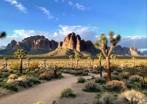 AI Video from prompt: the camera sweeps left revealing more of the sce