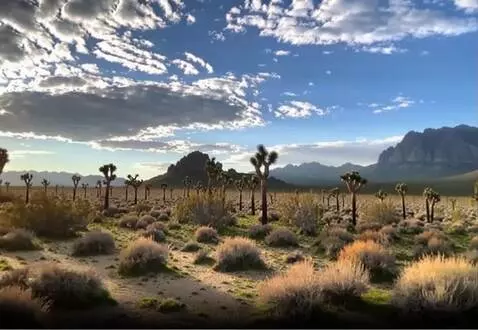 AI Video from prompt: the camera sweeps left revealing more of the sce