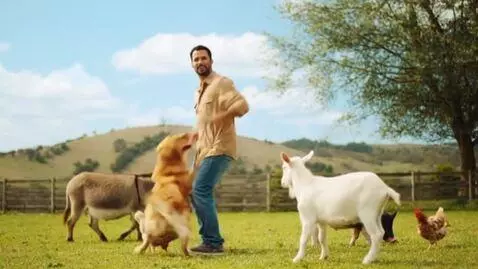 AI Video from prompt: A man dancing with animals