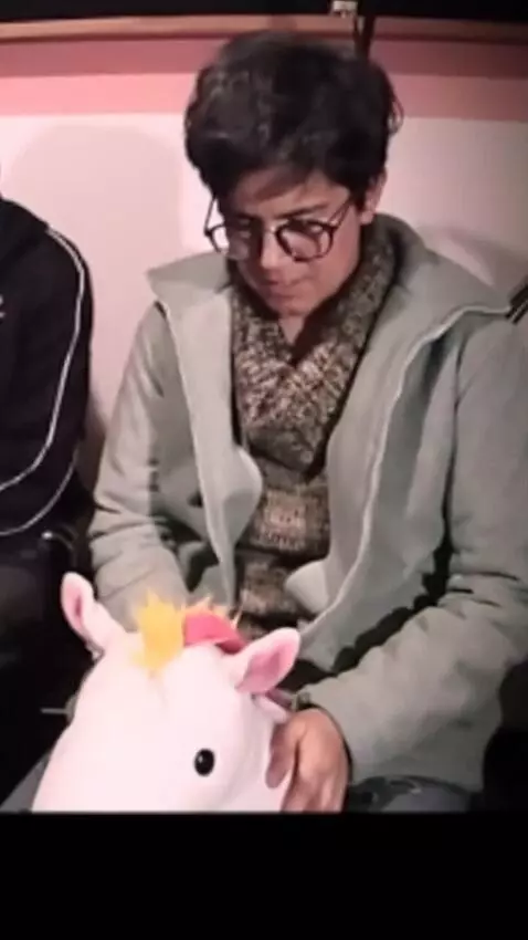 AI Video from prompt: The woman strokes and kisses a stuffed unicorn