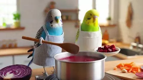 AI Video from prompt: These two parrots are in the kitchen preparing a
