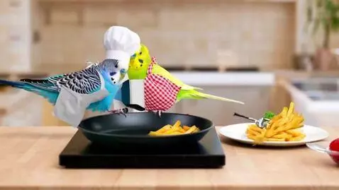 AI Video from prompt: These two parrots are making French fries in the