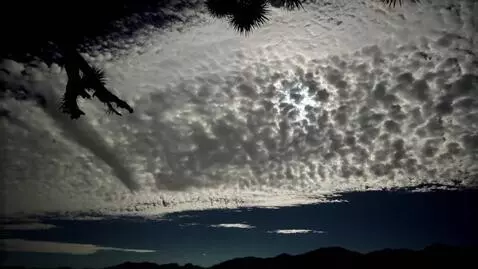 AI Video from prompt: the camera pans left showing the nightscape