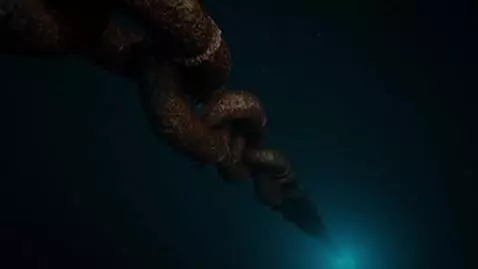 AI Video from prompt: Underwater shot, deep beneath the ocean surface.