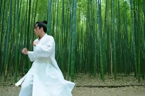 AI Video from prompt: A martial artist in white robes performs a fast 