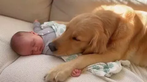 AI Video from prompt: create a video in which a baby is sleeping while