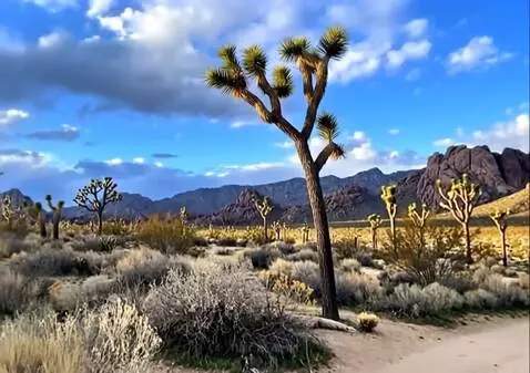 MiniMax Hailuo-02 (pro) video