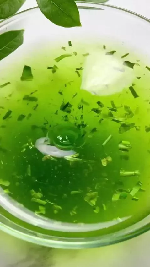 AI Video from prompt: "A swirling green liquid extract made from a mix