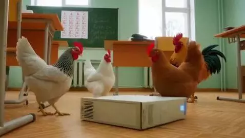 AI Video from prompt: Chickens are in the school in Russia (Chickens d